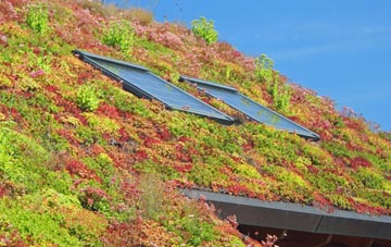 Middlezoy living roof systems